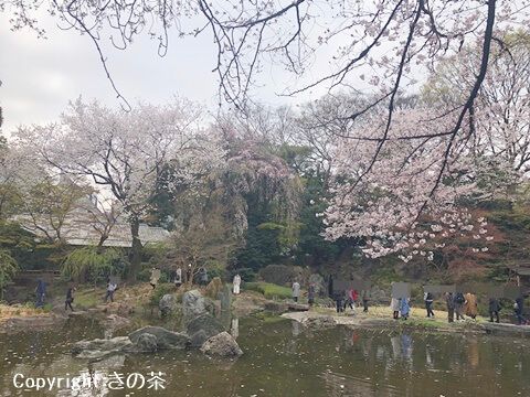 靖国神社の観光・見所は？桜の名所＆強力なパワースポット