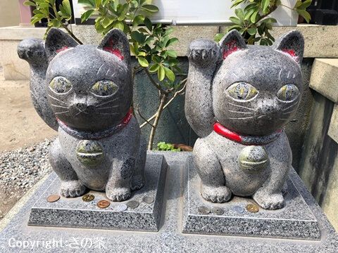 今戸神社の招き猫で恋愛運アップ！良縁を呼び込む幸せニャンコ